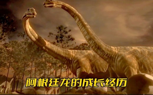 世界最大食草恐龙阿根廷龙的成长经历，一次生一窝，存活不到五分之一。