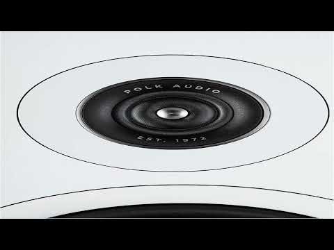 Polk Audio Reserve Series R500 Tower Speaker Review