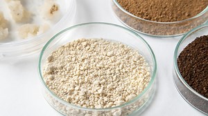 'Lab-cultured coffee' is realized for the first time in the world, and the taste and aroma are at a genuine level