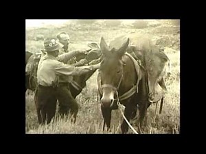 1937 Hunting Trip Modoc California Horseback