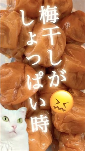 【しょっぱい梅干しを塩出しして はちみつ漬け】リサイクルで結果オーライ