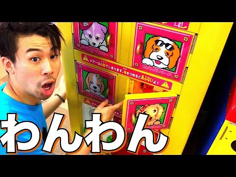 完全攻略 ワンダーハウス 昔のアーケードゲーム機