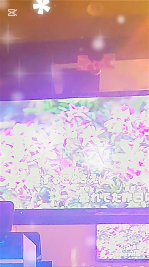 夢を信じて｜裸の心で歌ってみた