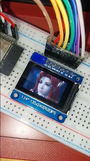 ESP32-S3/CircuitPython 8.1.0-beta.0 play GIF on ST7789 IPS display
