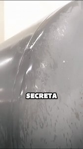 #SabiasQue #curiosidades #curiosity #viralreels #Sabías #virareelsfb | cui riosidades