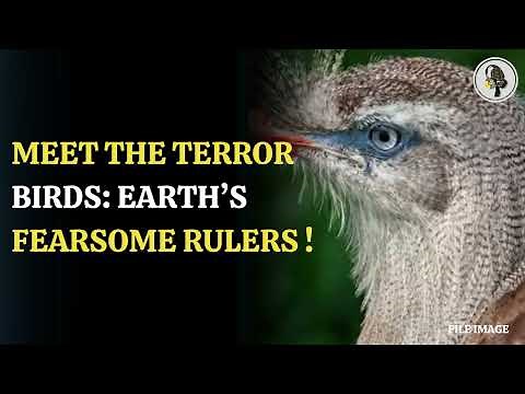 Unveiling the Giant Terror Birds: South America's Ancient Predators. | WION Podcast