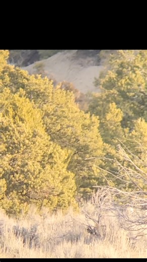 Nimrod Outdoors on Instagram: "Little winter range # #digiscoping before Christmas!!!"