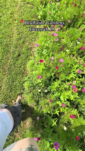SOUND ON for lavender sounds 📍Bluffside Gardens, Decorah IA #hotels #iowa #wildflower #morningwalk #calming