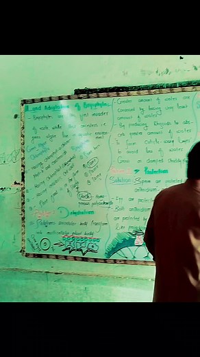 Understanding Bryophyte Land Adoptions