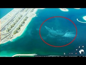 7 Mysterious Deep Sea Creatures Spotted On Google Earth #3