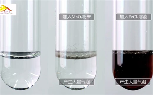 二氧化锰、氯化铁溶液对过氧化氢的催化