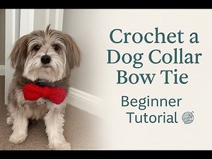Crochet a Dog Collar Bow Tie | Beginner Step-by-Step Tutorial