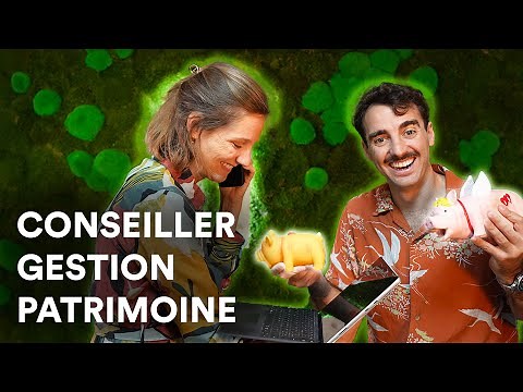 BECOMING A Wealth Management Advisor: training, salary, AI and daily life as a CGP