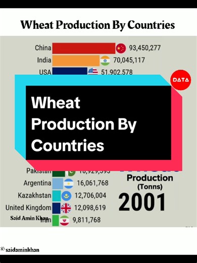 Top Wheat Producing Countries in 2023