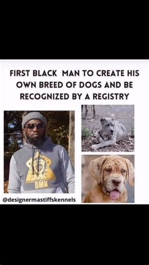 Designer Mastiffs Kennels | Over 6 years ago Adamus Bey officially became the first Black man to create an original breed of dog and have it recognized by an... | Instagram