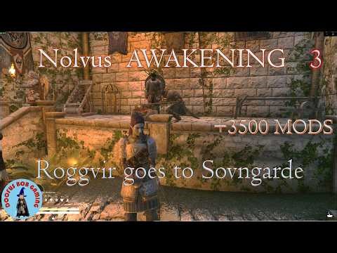 Sending Roggvir to Sovngarde | NOLVUS AWAKENING MODPACK PLAYTHROUGH | Skyrim
