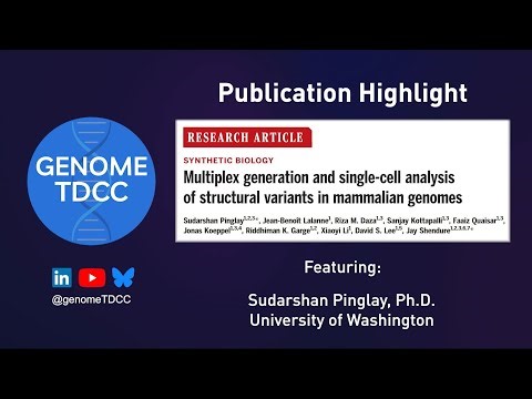 Shuffling Mammalian Genomes