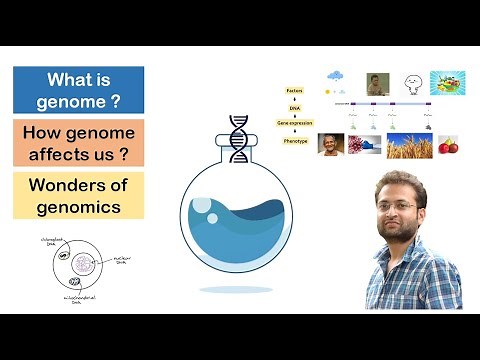 What is Genome and genomics? Structural, comparative and functional genomics. Wonders of genomics