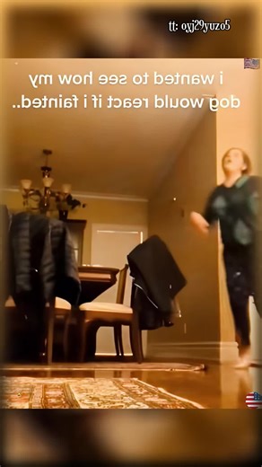 When you faint in front of your dog 🤣 #funny #dogs #pets #faint #viralvideos #foryou #blowthisup #fypシ #viral #foryoupage #fail
