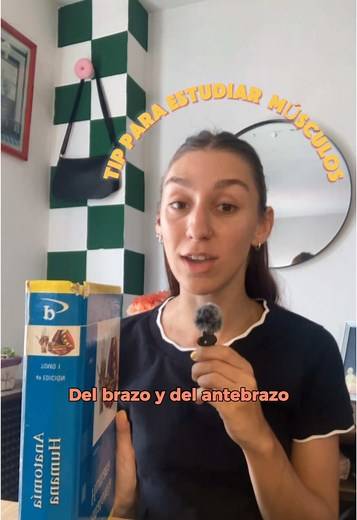 Estudia los músculos del brazo y antebrazo efectivamente