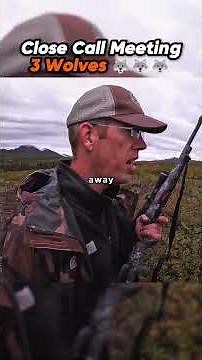 Solo Camper Meets 3 Wolves 🐺