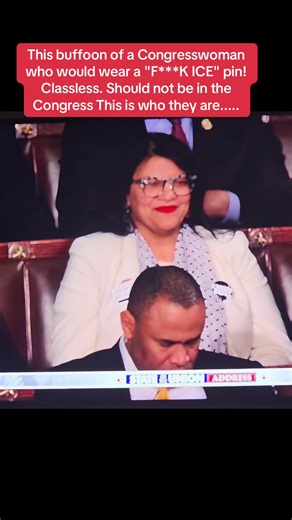 #sotu #democrat #enemy #Rashidatlaib #ice