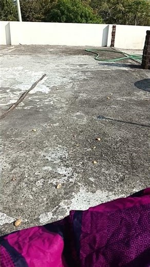 5 फ़रवरी 2026