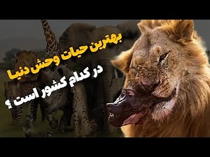 کامل ترین حیات وحش دنیا در کدام کشورها ؟ و حیوانات عجیب آن ؟