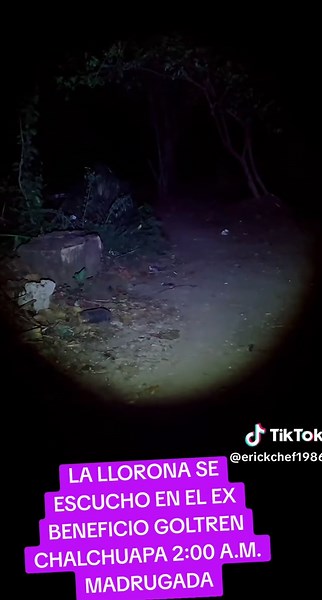 #tiktoklive #livehighlights #CHEF EL SALVADOR