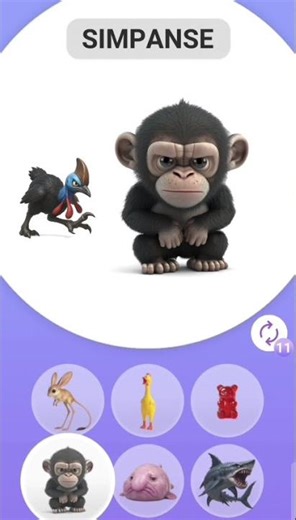 cassowary vs chimpanzee anomaly #shortviral #funny