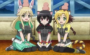 Little Bit Beastly - TV Tropes