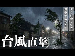 【睡眠用BGM・途中広告なし】台風と雨の音・10時間｜金属屋根を打つ雨音と強風・雷鳴の自然音【5分で暗くなる画面】