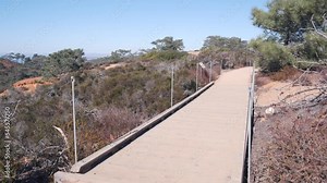 Torrey Pines state park, natural reserve for ecotourism, trekking and trails hiking, coastal California, USA. Environmental conservation, wilderness near San Diego. Designated footpath for eco tourism