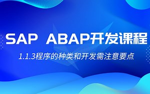 【SAP ABAP基础教程】1.1.3程序的种类和开发需注意要点