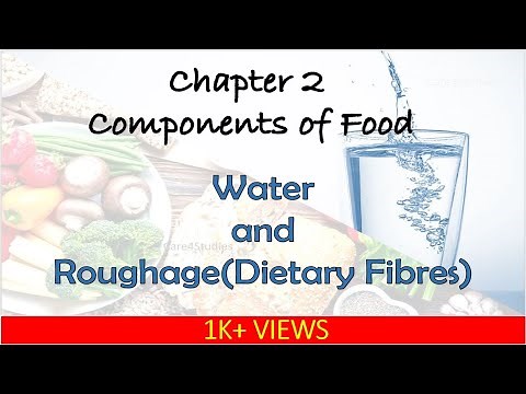 Water and Roughage(Dietary Fibres) | Ch-2 Components of food | Science | Class 6