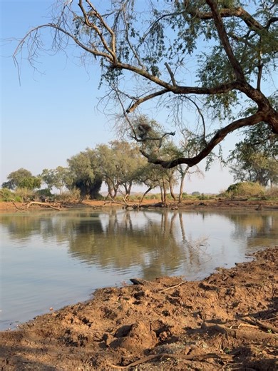 Africa Photography by Corlette Wessels on Reels