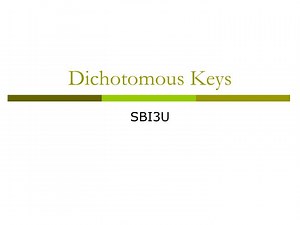 PPT - Dichotomous Keys PowerPoint Presentation, free download - ID:6088751