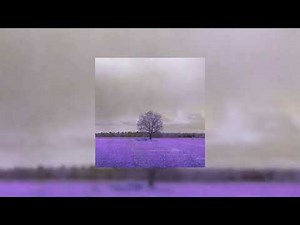 Grouper - Poison Tree [ 8D Audio ] [ Slowed + Reverb ] [ Lyrics in Description ]