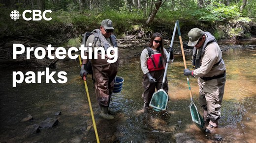 Mi’kmaq work with Kouchibouguac National Park