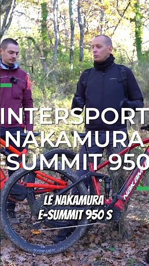 Decathlon or Intersport: which has the best electric mountain bike for under €3000?