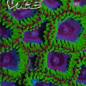 337 shares · 389 comments | VICE has a magazine. Yes, it's free if you can find it in your city, but they go fast. Avoid the hassle—subscribe now and get 100+ color pages delivered to your doorstep each month. | VICE | Facebook