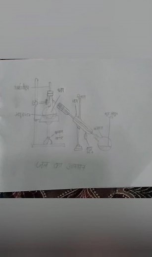 Science figure# Sciencefigure