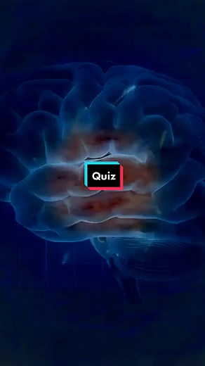 Challenge Your Mind with Brainteasers, Quizzes, and Riddles