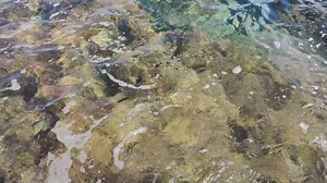 Sea, Ocean, Moving Water. Free Stock Video