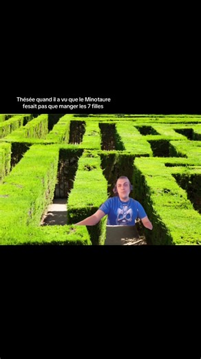faisait* #minotaure #tk78 #asterion #thésée #pourtoi