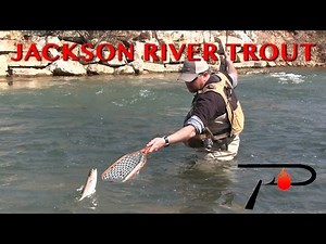 Trout Fishing Virginia's Jackson River