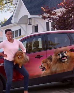 1.7K views · 830 reactions | Switch and save an average of 21% on auto insurance. Because your dog has places to be. | State Farm | Facebook