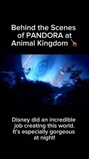 11 reactions | Behind the Scenes of PANDORA at Animal Kingdom 漣 Disney and the Imagineers did an incredible job with Pandora. I especially love it at night  #disney #instadisney #disneyreels #disneyinsta #disneyworld #disneygram #wdw #disneyig #disneyparks #waltdisneyworld #animalkingdom #avatar #pandora #jamescameron #disneyadults #disneycommunity #disneylife | Disney Mouse House | Facebook