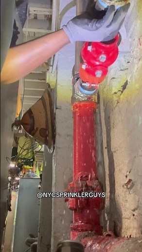 How to install A Check Valve ✅ | Service | #nycsprinklerguys #shorts