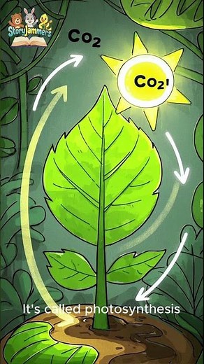 🌱 How Do Plants Eat? | Photosynthesis for Kids